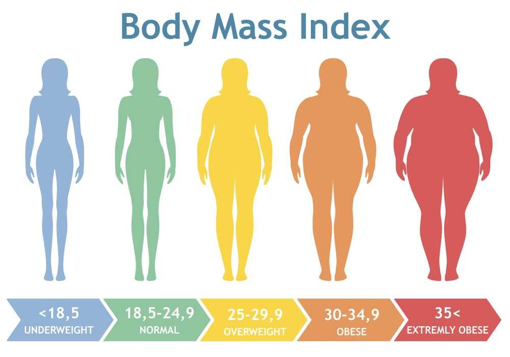 Jak Vypočítat BMI? - JenOHubnutí.cz